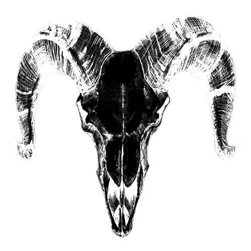 会場限定CD『欲望の残骸ゴミ箱で眠れ』『まほろば』2枚同時発売決定