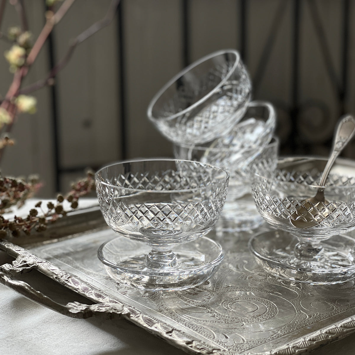 IMG_5640_813e1520-1926-45c8-