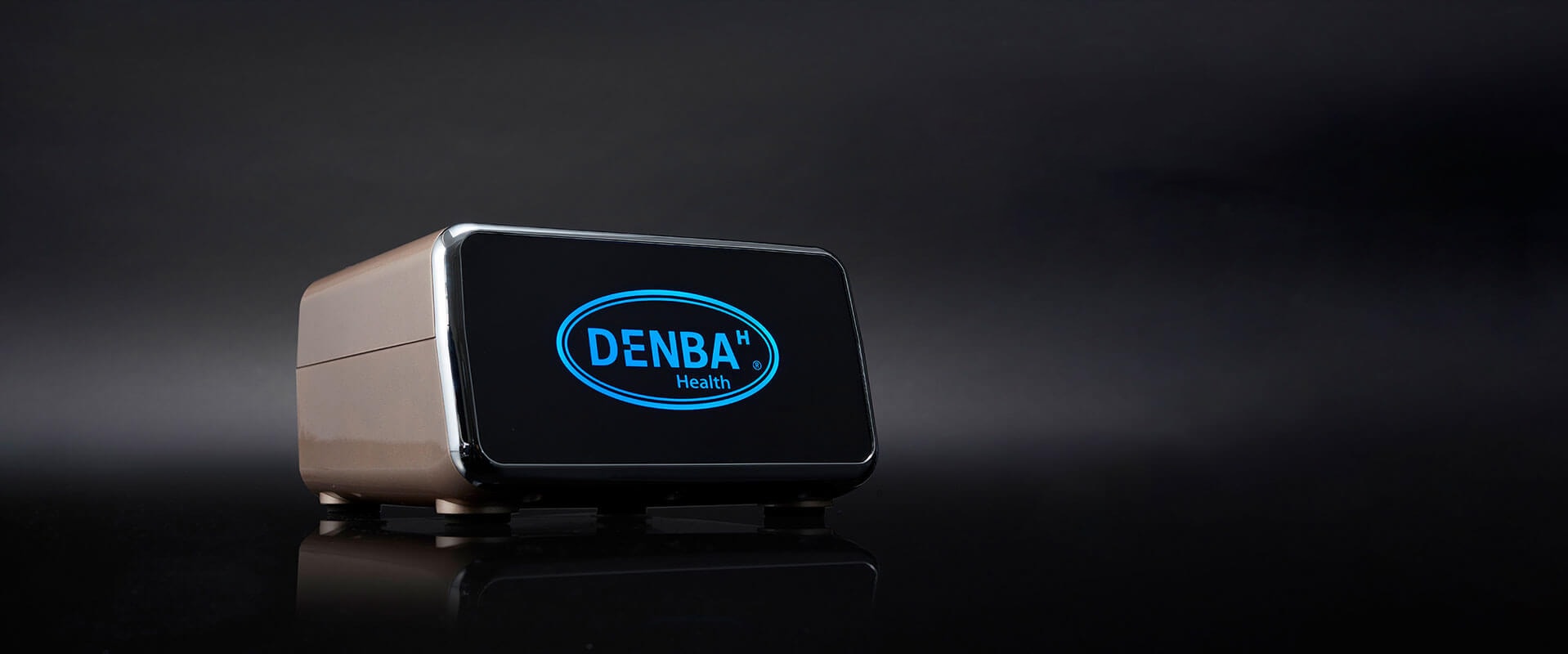 FUKUさん専用〈在庫処分、新品〉デンバヘルス スタンダード DENBA