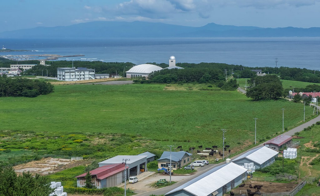 新規就農だから固定観念がない。良かれと思ったことはなんでも試して