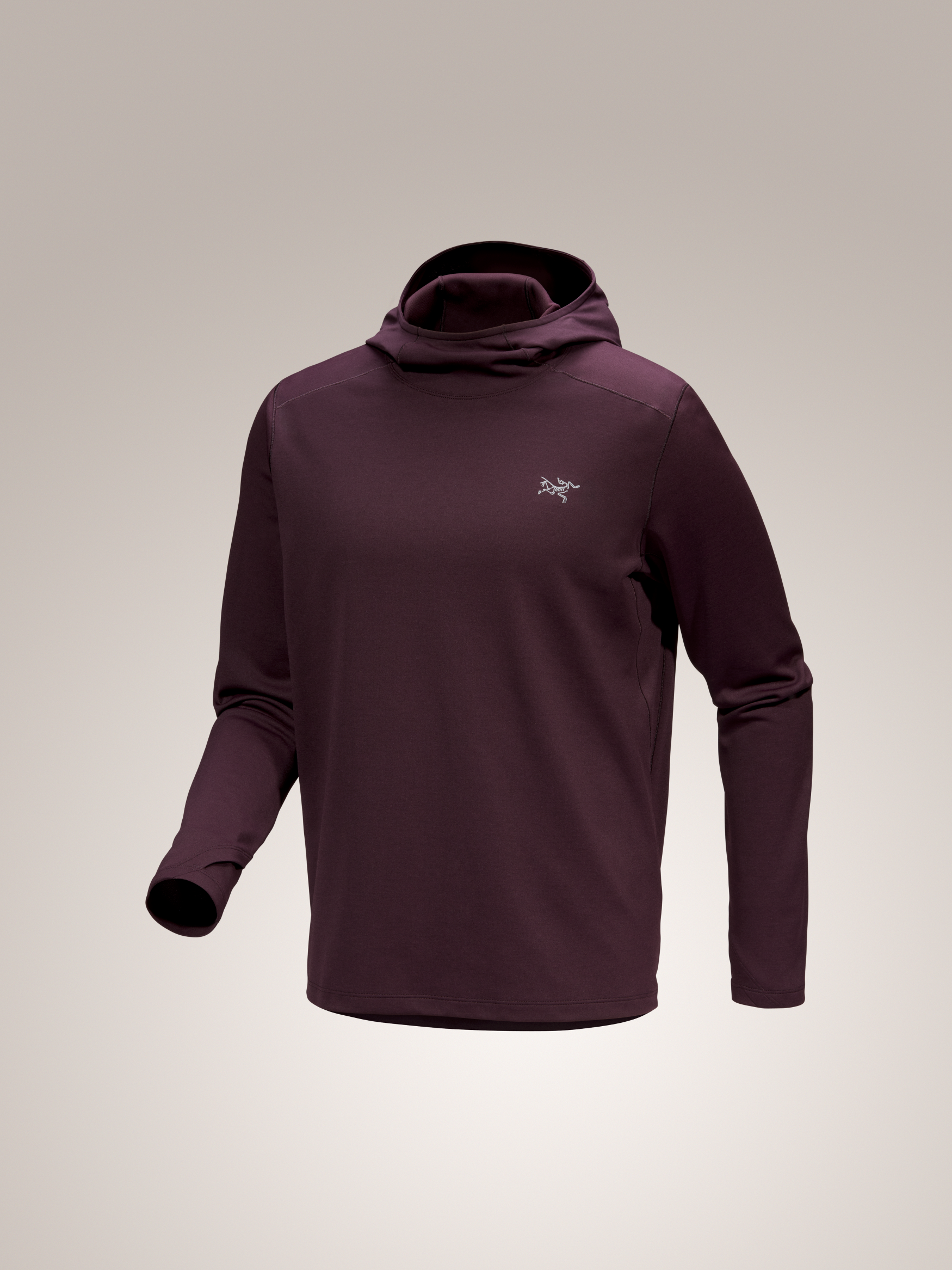 Cormac Heavyweight Hoody Men's – Feathered Friends