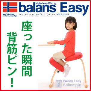 北欧「リボ社」のバランスチェア イージーを使ってみて 感想