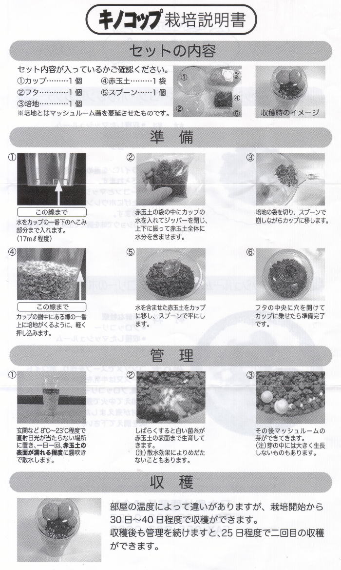 キノコップ（ホワイトﾏｯｼｭﾙｰﾑ）」栽培セット | 【野菜のタネ・タネいも