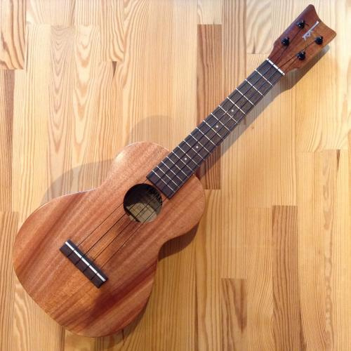 コンサート・ウクレレ=ウクレレ専門店ジャムズウクレレ【福岡】