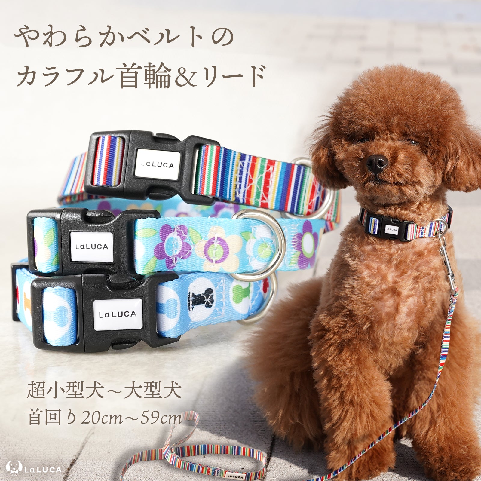 地上波ドラマで使用されました／ カラフル首輪・リード（単品購入もOK！）