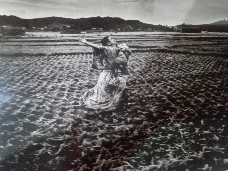 必然性から生まれた、唯一無二の美術館/秋田県羽後町鎌鼬美術館