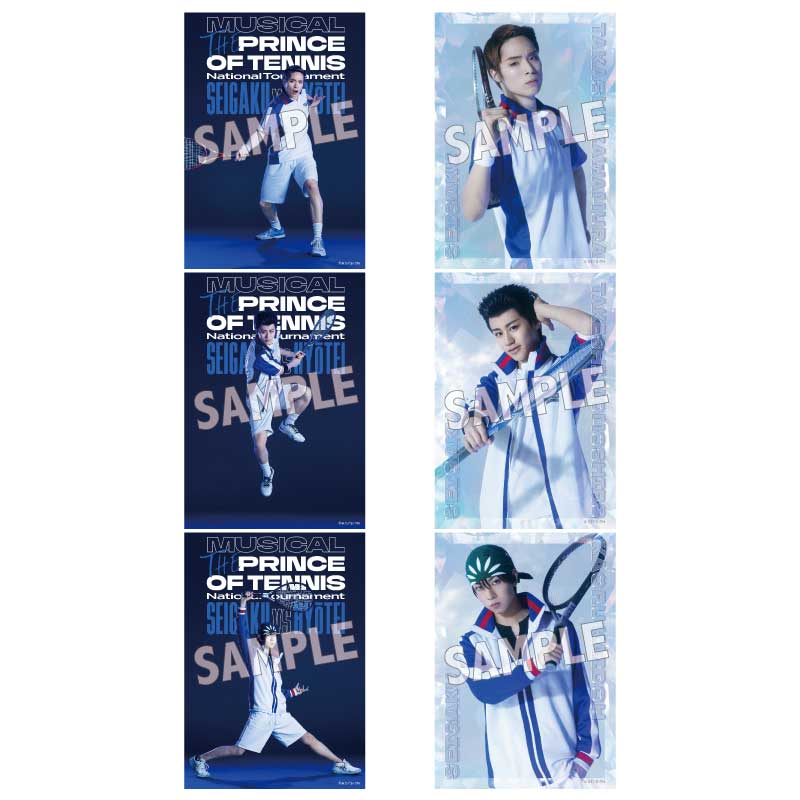 オリジナルブロマイドチームセット青学（せいがく）10セット入り