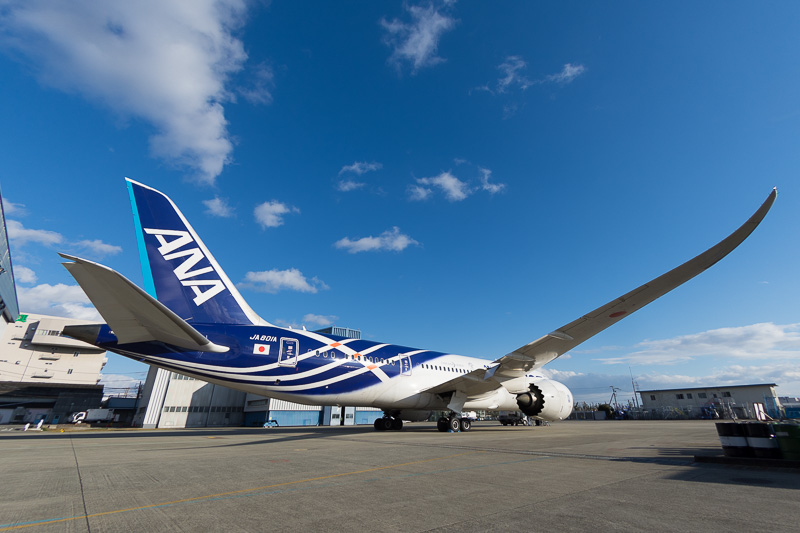 ANA、ボーイング 787-8初号機「JA801A」の特別塗装をリペイントへ