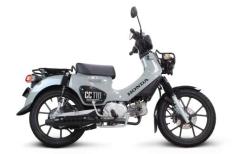 SPECIAL PARTS TAKEGAWA / SSSマフラー(ブラックプロテクター)(政府認証)