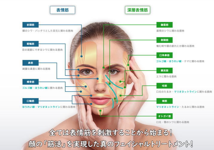 卸売問屋のカイロスクウェア販売