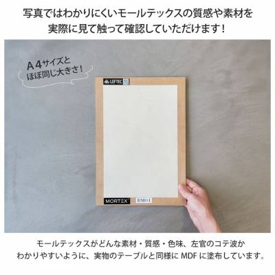 モールテックス カラーサンプル 見本 MORTEX ホワイト ベージュ