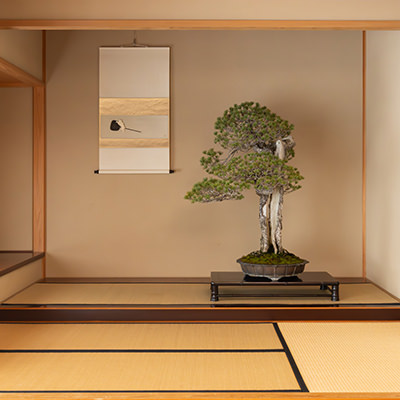 Exhibitions | ミヤケマイ MAI MIYAKE