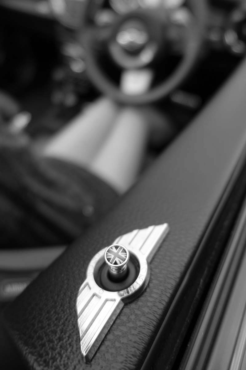 MINI ドアロックピン【ブラックジャック】