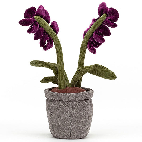 Jellycat Amuseable Purple Orchid - Jellycat - Paper Tiger