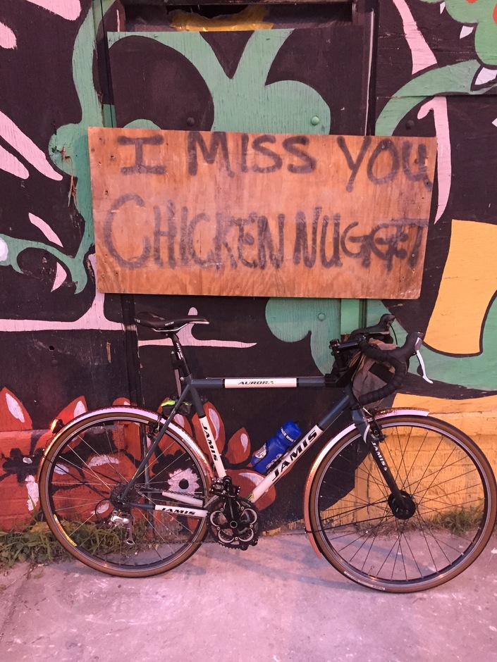 Jamis Aurora Elite - Pedal Room