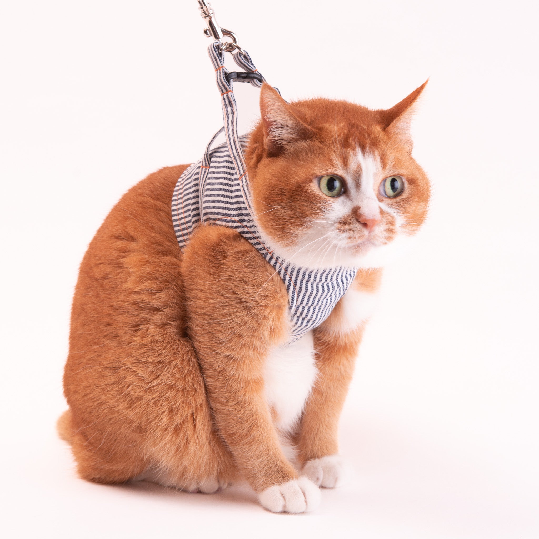 猫に優しいベスト型ハーネス・リード付き デニム ヒッコリー【限定
