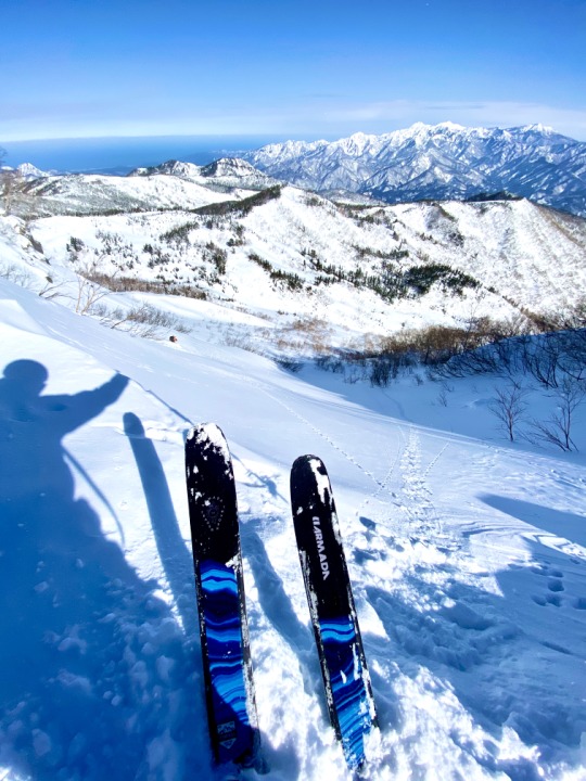 TRACERシリーズ | armadaskis.jp