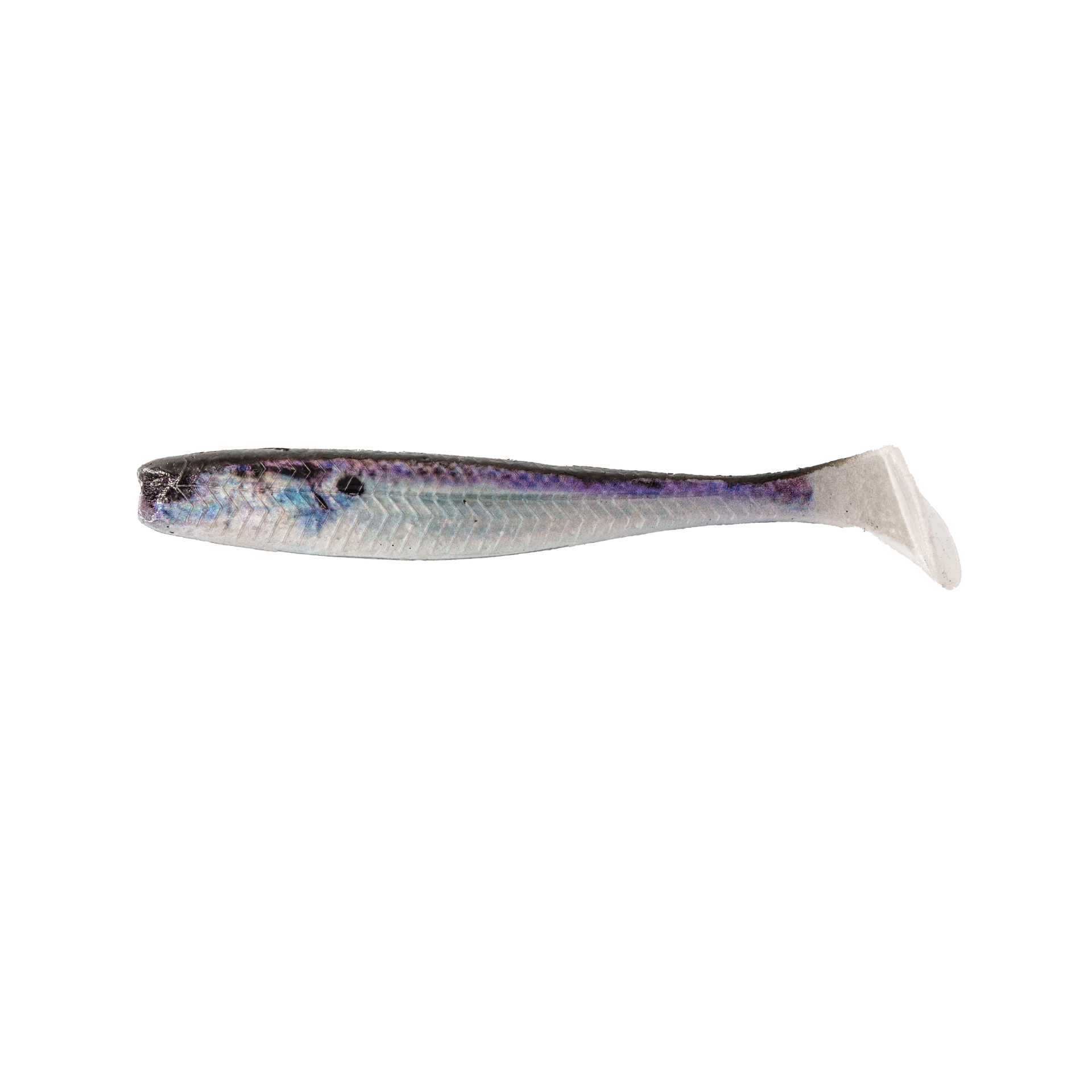Divine Swimbait - Live Shad Swimbait | 6th Sense Fishing