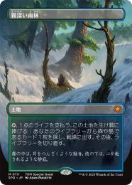 ミントモール / MINT GAMES MTG(東日本橋) / 【SPG】【ENG】【ドラゴン