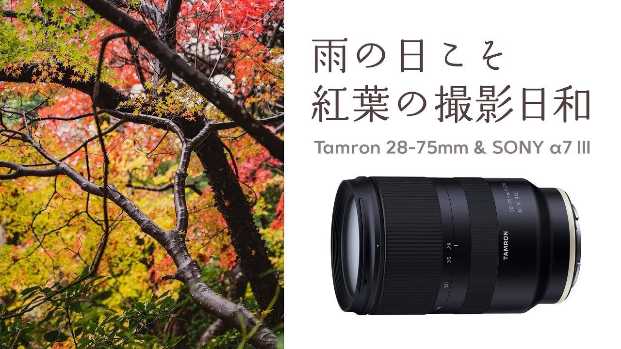 77987704c49f5f694cf954404bcd64