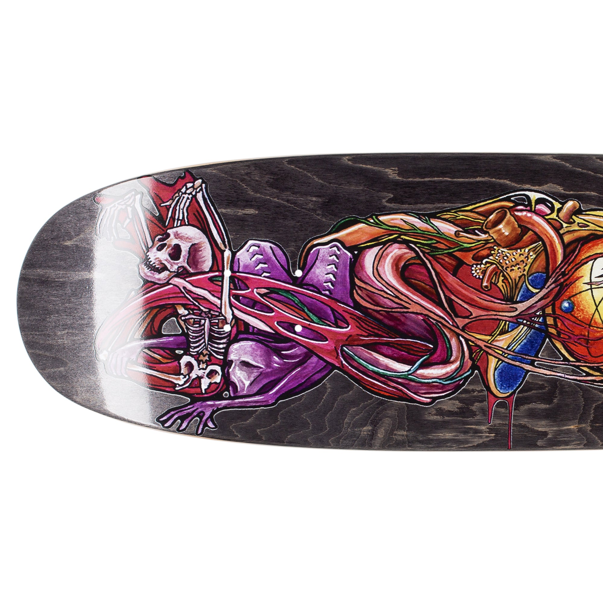 GX1000（ジーエックスワンサウザンド）| ERROR DV CRUISER - 9