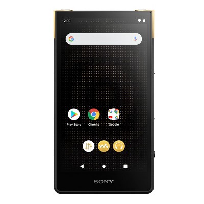 Sony NW-A306 Walkman A Series Hi-Res Digital Music Player : Target