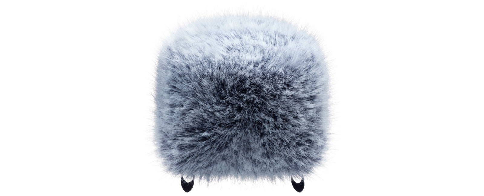 WS-86 | PORTACAPTURE / DRシリーズ用ウィンドスクリーン | TASCAM (日本)