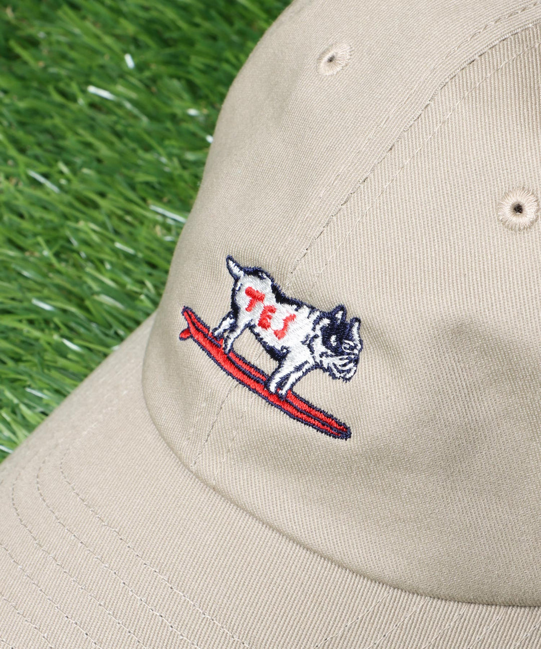 一部再入荷》[新カラー追加] TES HUNTINGTON LOW CAP / キャップ – TES