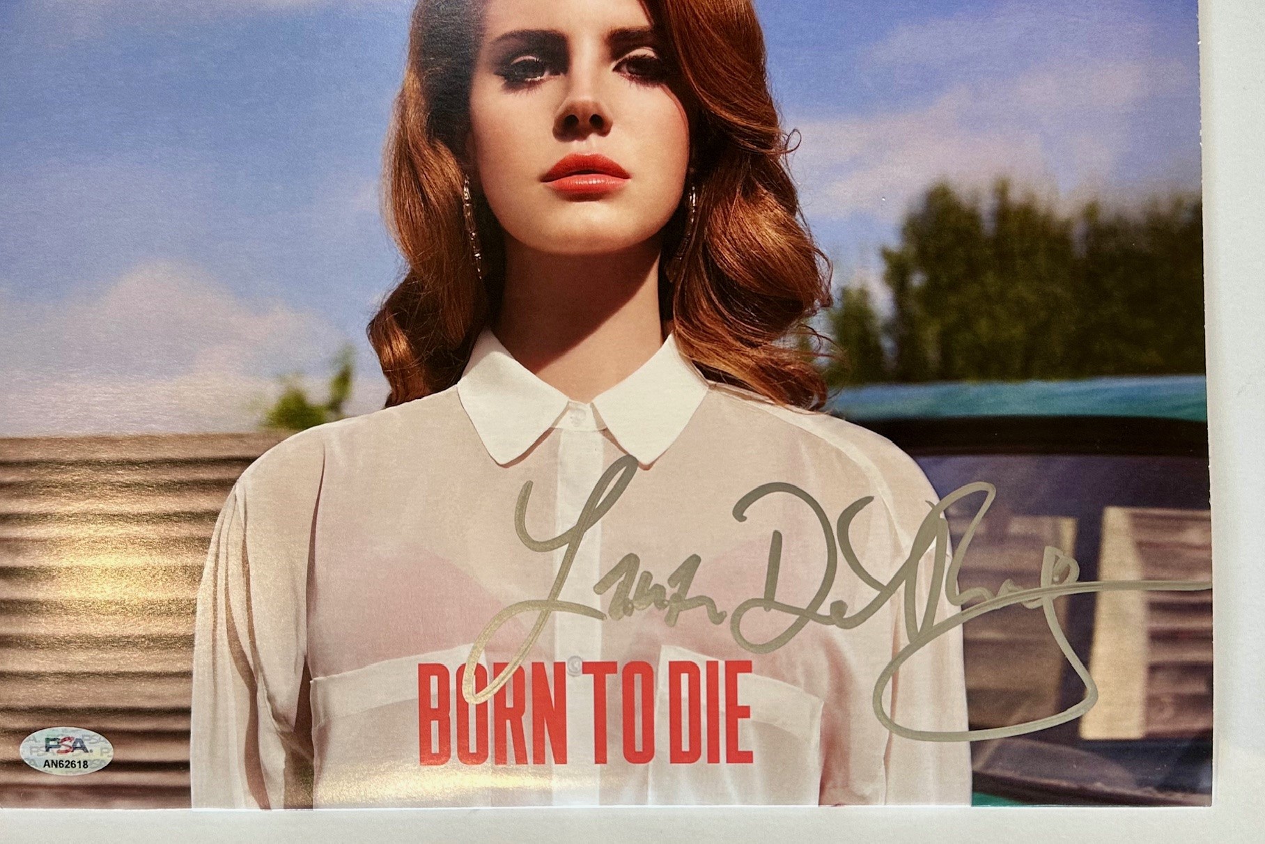 Lana Del Rey Signed Vinyl Record Album | PSA COA - The Autograph