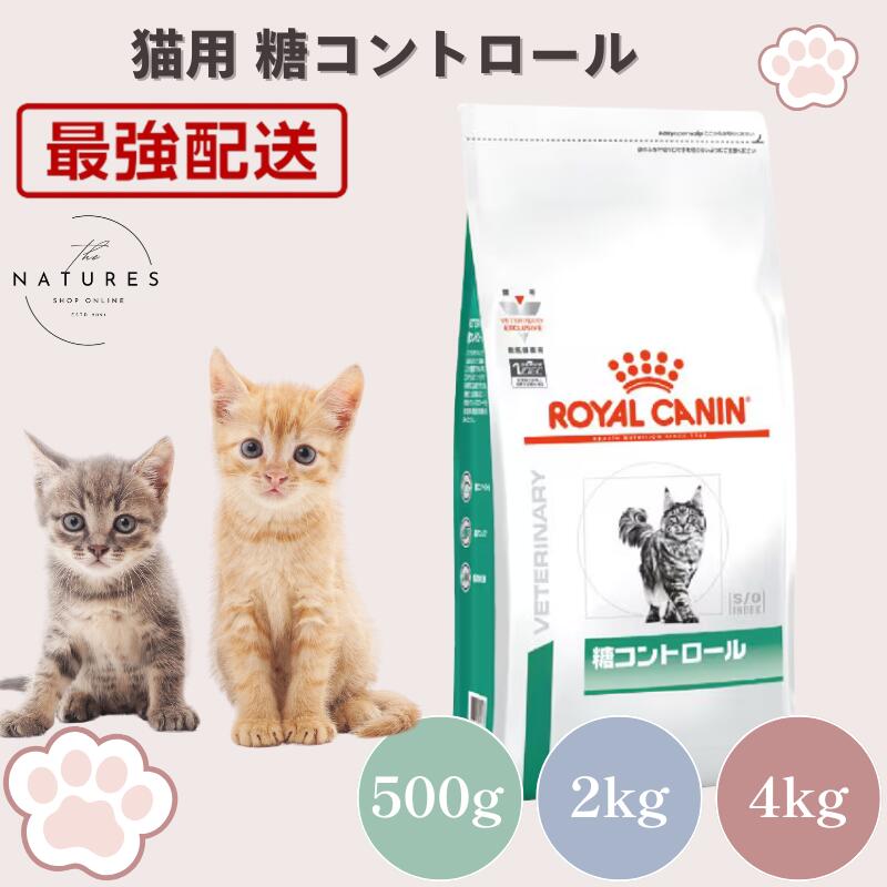 楽天市場】ロイヤルカナン 糖コントロール 猫 4kgの通販