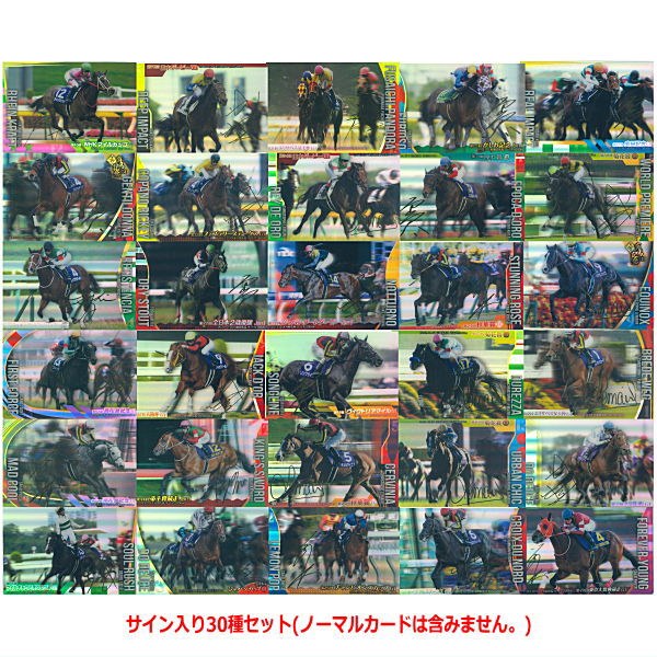楽天市場】サラブレッドホースコレクション ツインウエハースの通販