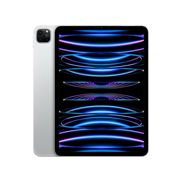 楽天市場】apple ipad pro (11インチ, wi-fi, 512gb)（接続タイプ