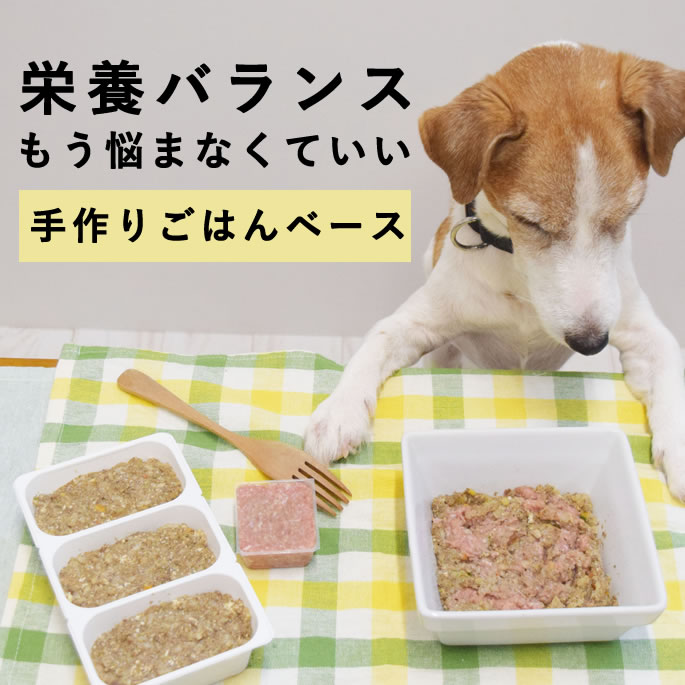 楽天市場】犬 ベースフードの通販