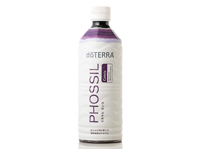 imgrc0096341980.jpg