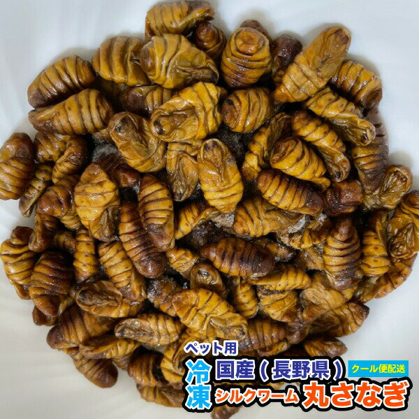 楽天市場】蚕 人工飼料の通販