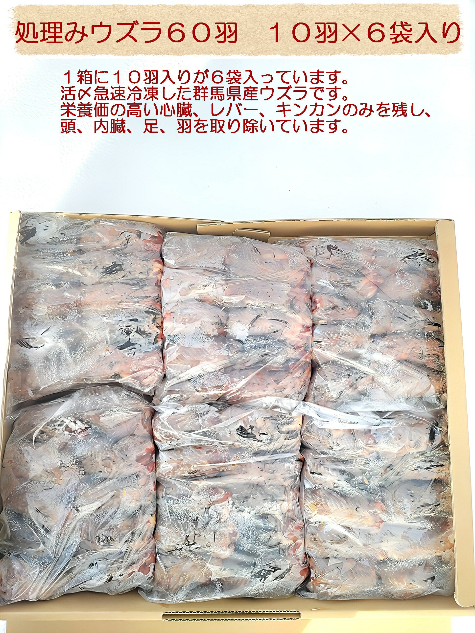 楽天市場】冷凍 餌 ウズラの通販