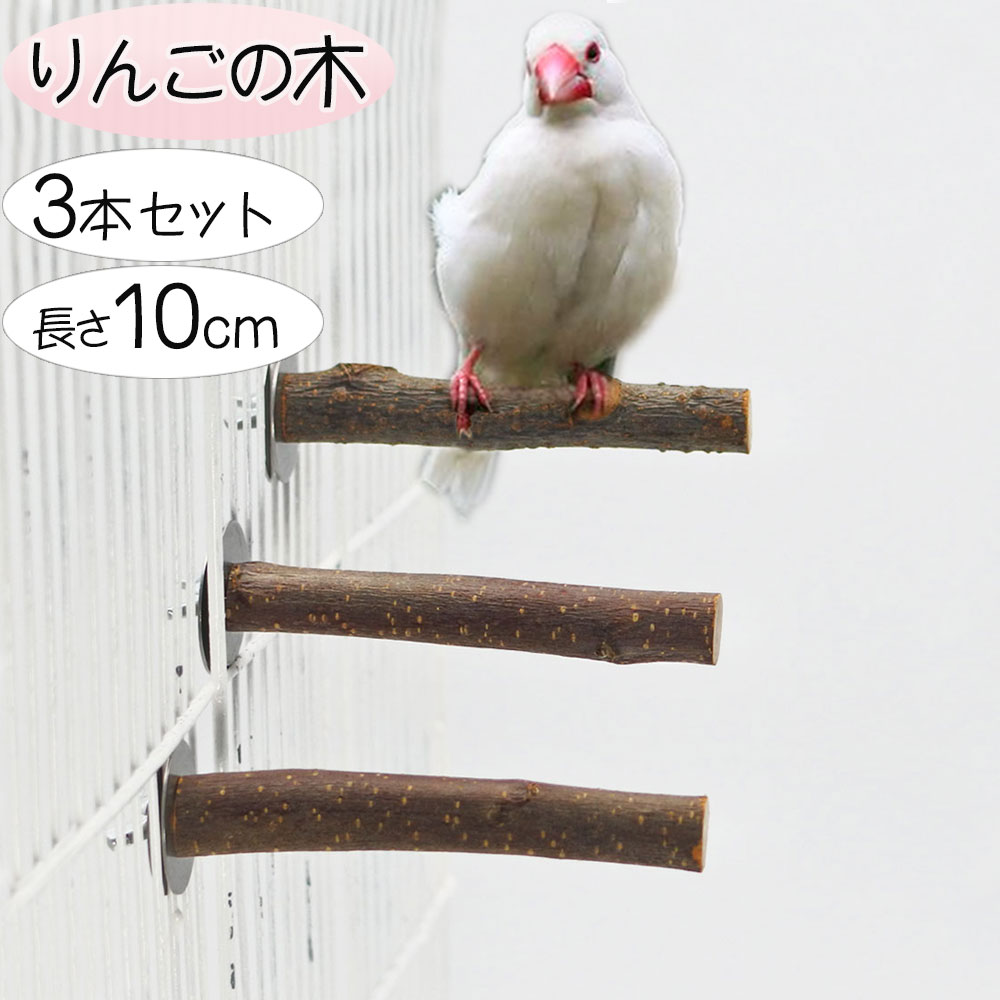 楽天市場】止まり木 鳥 自然木の通販