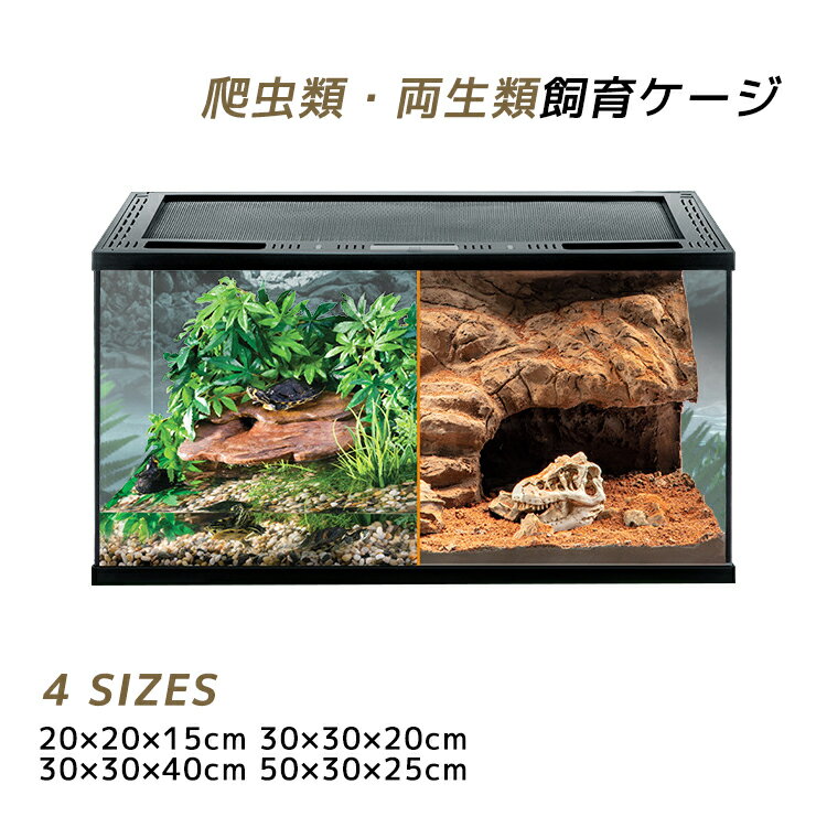 楽天市場】レオパ グラステラリウム 3030の通販
