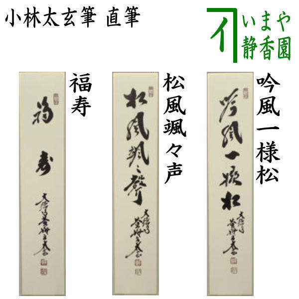 楽天市場】小林太玄の通販
