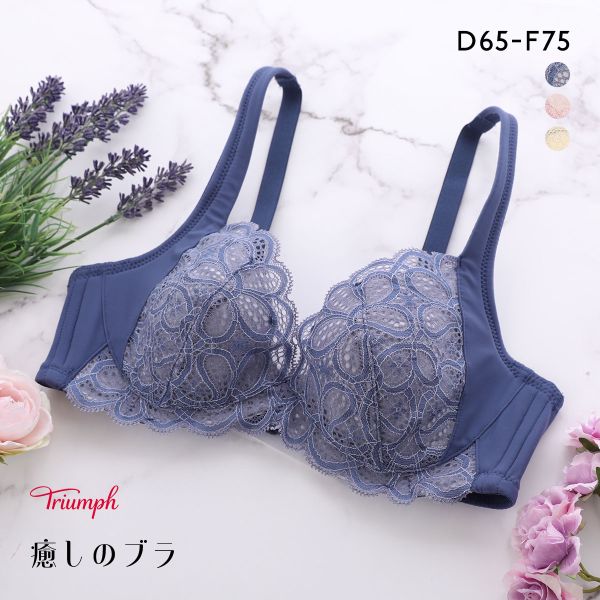 楽天市場】トリンプ d75の通販