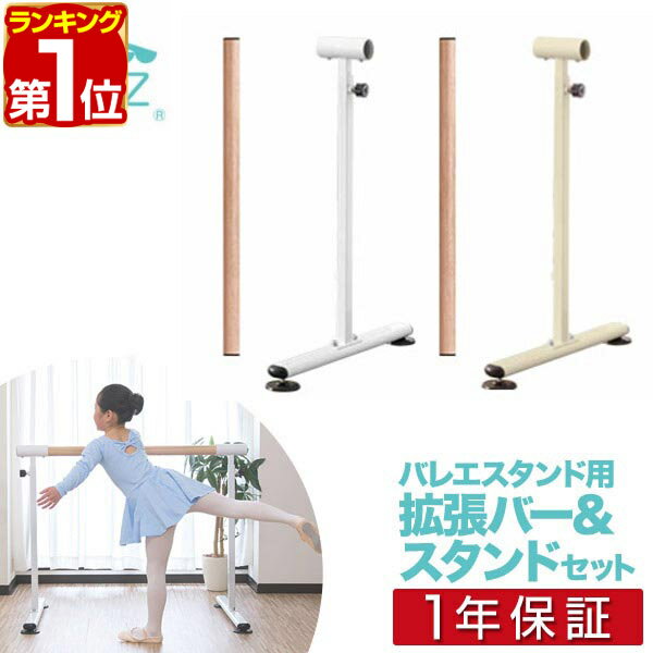 楽天市場】レッスンバー ポータブルの通販