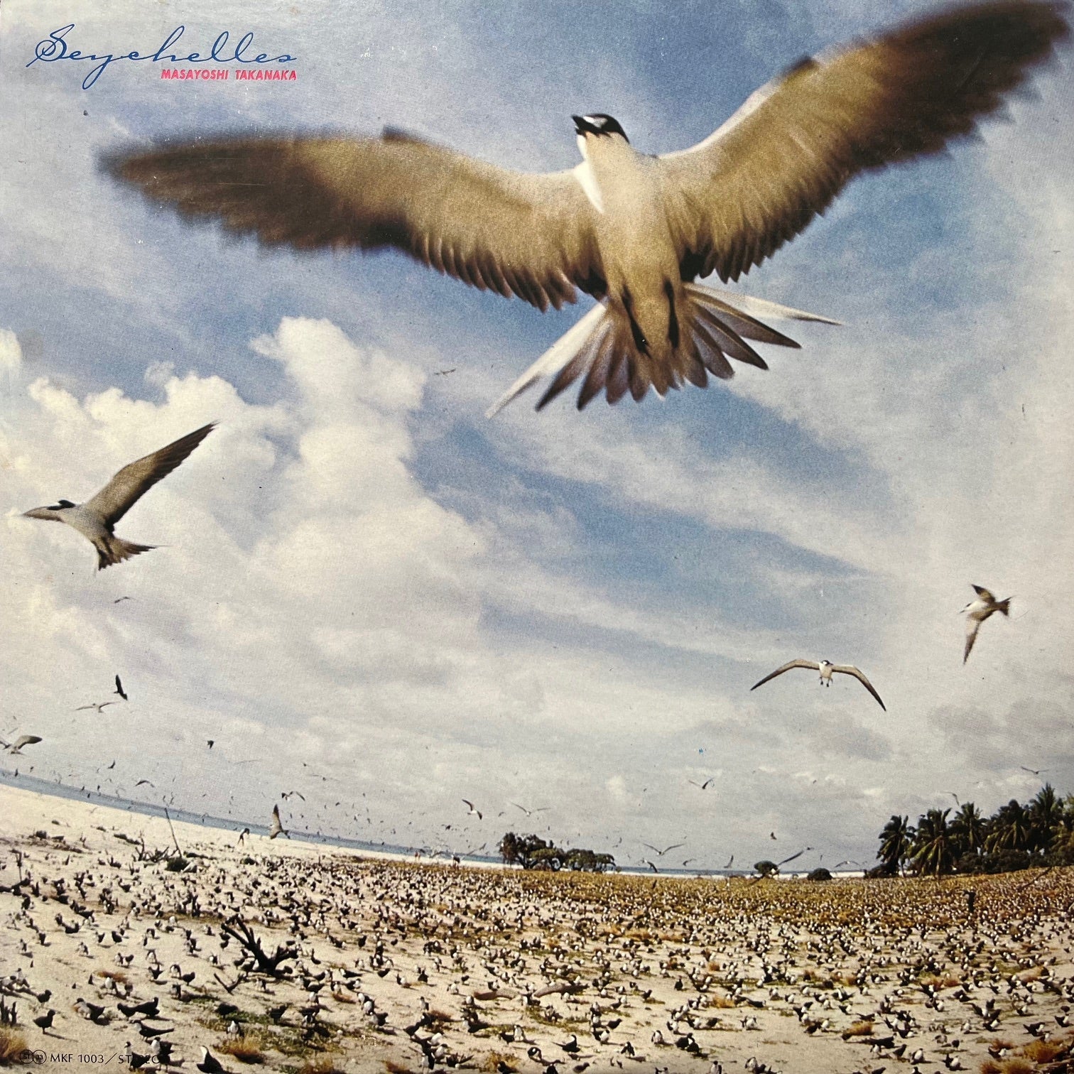 高中正義 (MASAYOSHI TAKANAKA) / Seychelles (MKF 1003, LP) – TICRO