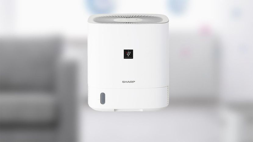 シャープ】物干しラック下のデッドスペースを活用できる衣類乾燥除湿機