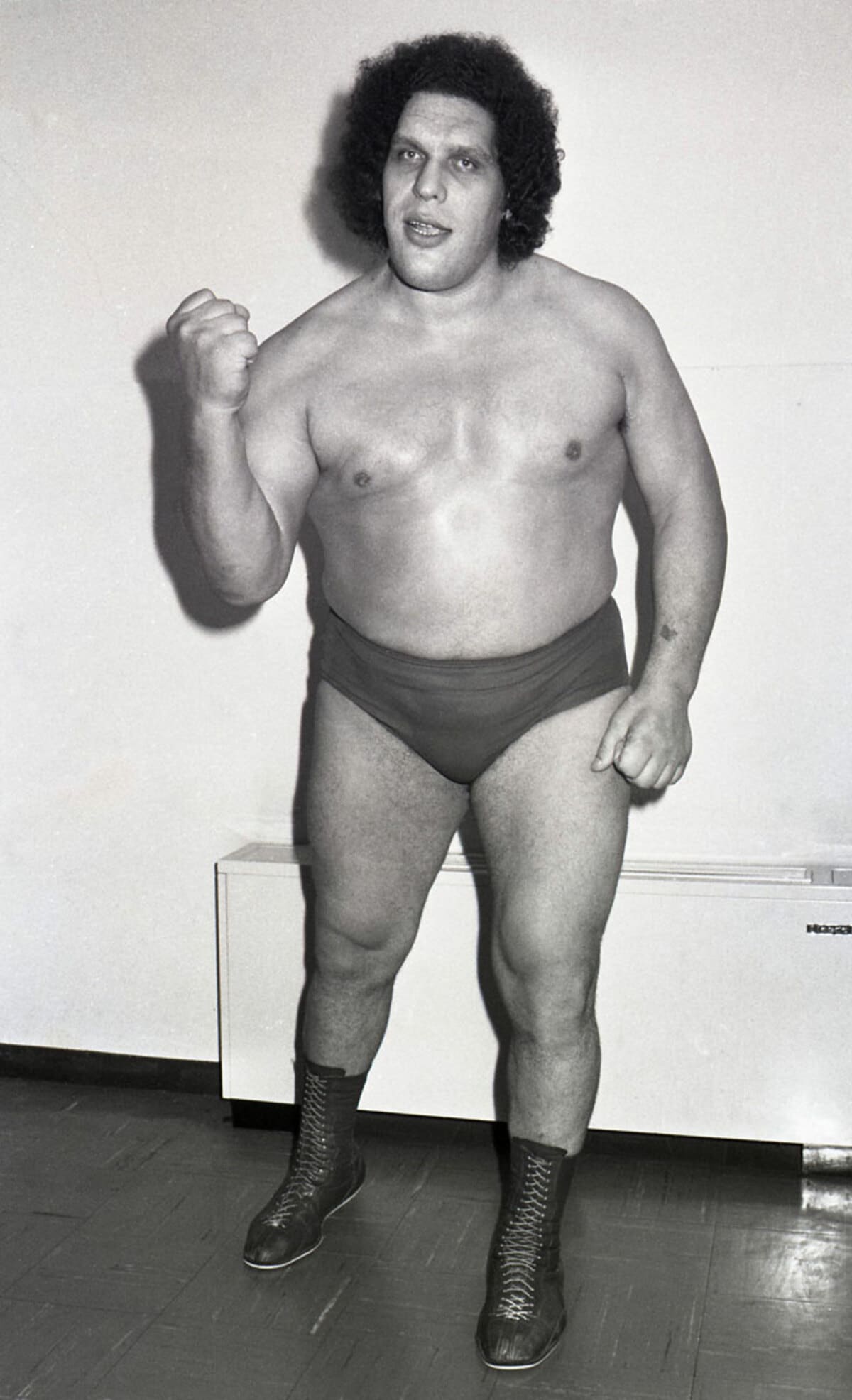 大巨人アンドレ・ザ・ジャイアントが〝76歳〟の誕生日 WWEビンス