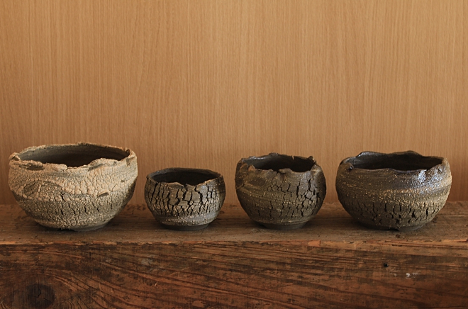 ヨコヤマ コーデックスアートギャラリー＜TOP＞ ～アガベ・塊根植物の