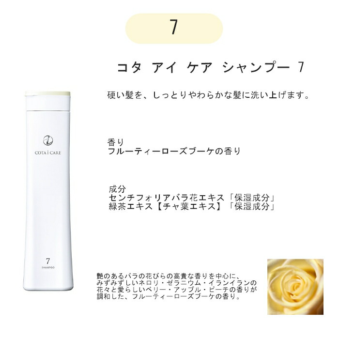 楽天市場】＼楽天ランキング入賞／【シャンプー単品】コタアイケア