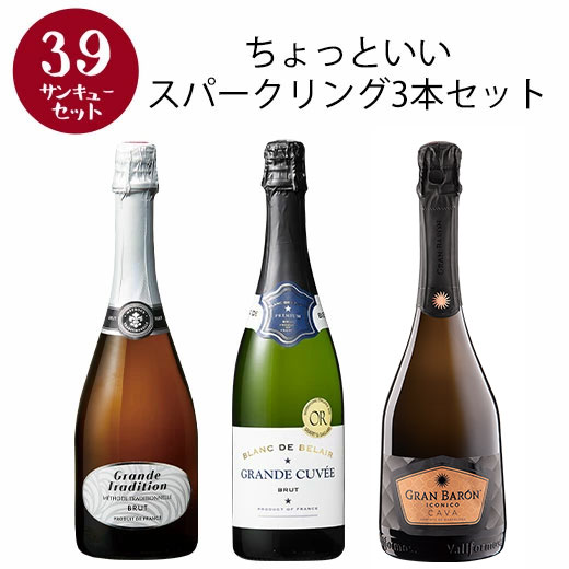 お得 セラー保存 シャンパン2本セット おすすめワインセット | THE