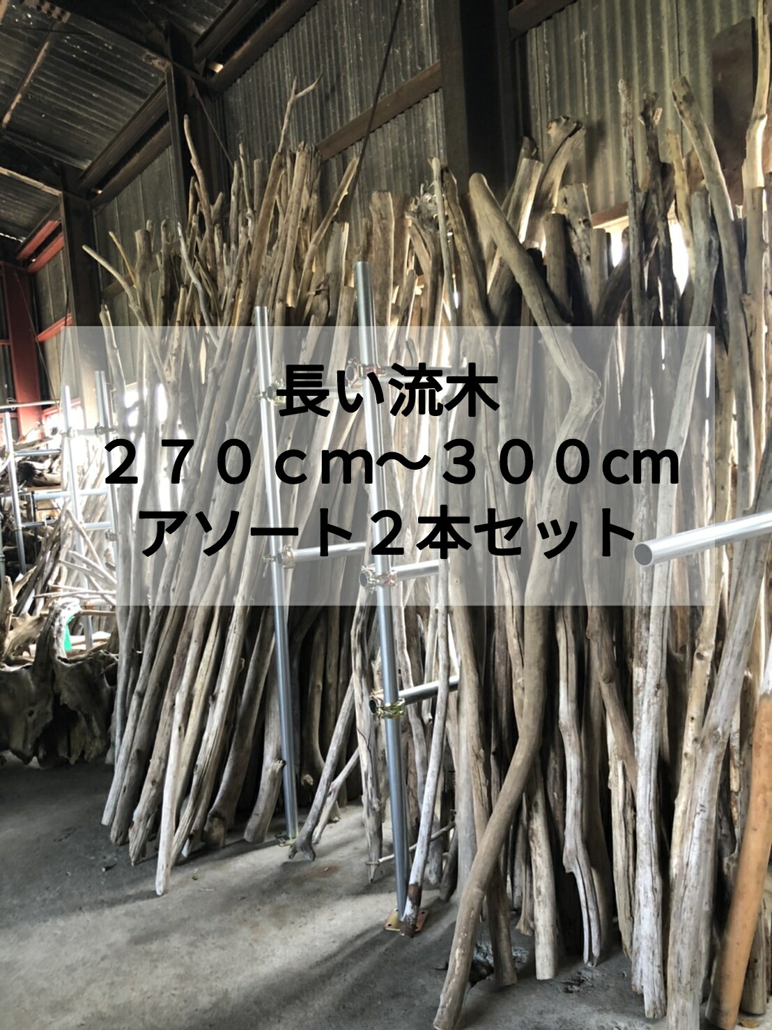 楽天市場】流木 長いの通販
