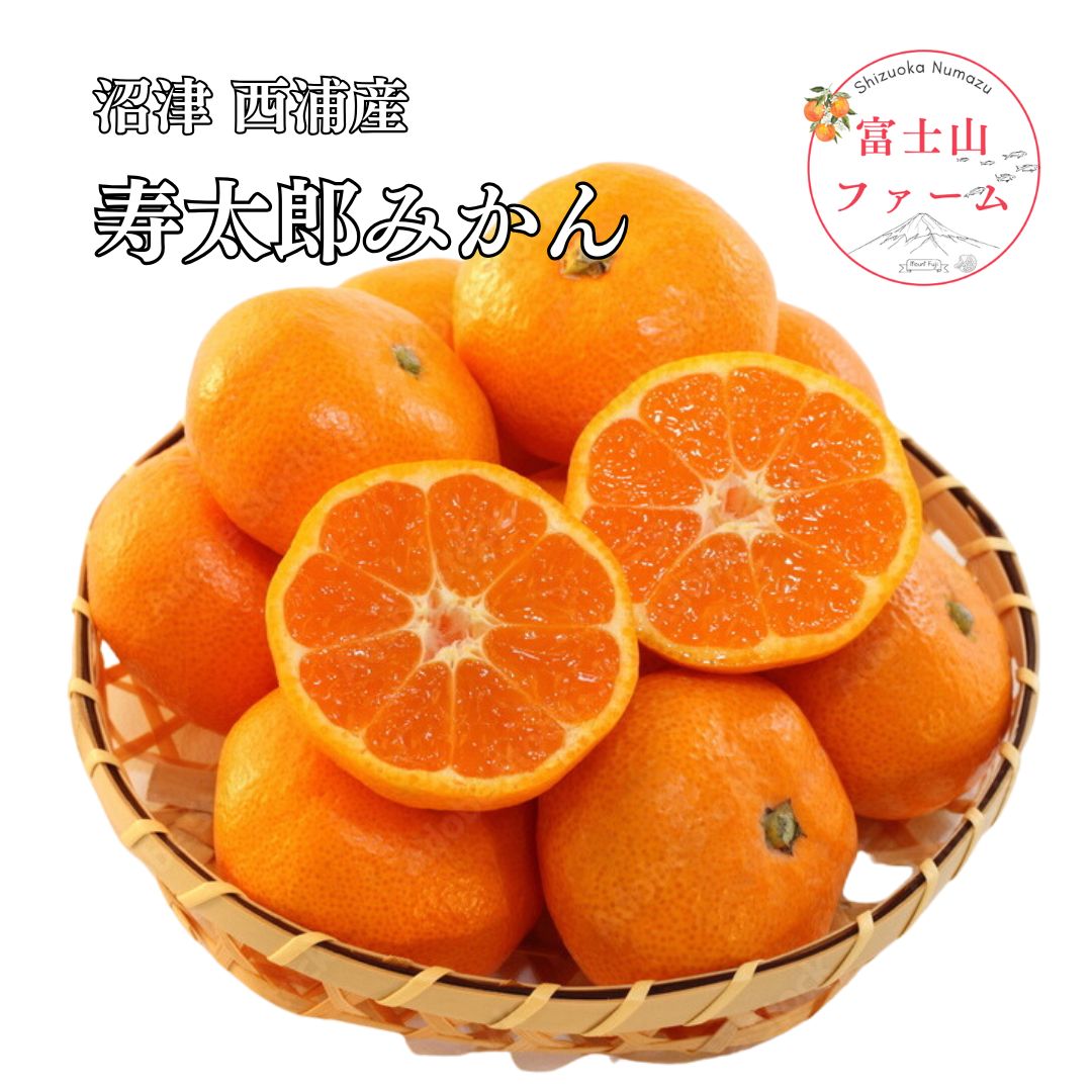 楽天市場】本格貯蔵寿太郎（じゅたろう）みかん通販 最上級及び