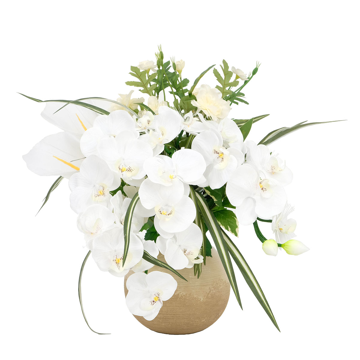 盆提灯 ルミナス 胡蝶蘭」の人気商品一覧 | 安い商品を通販サイトから